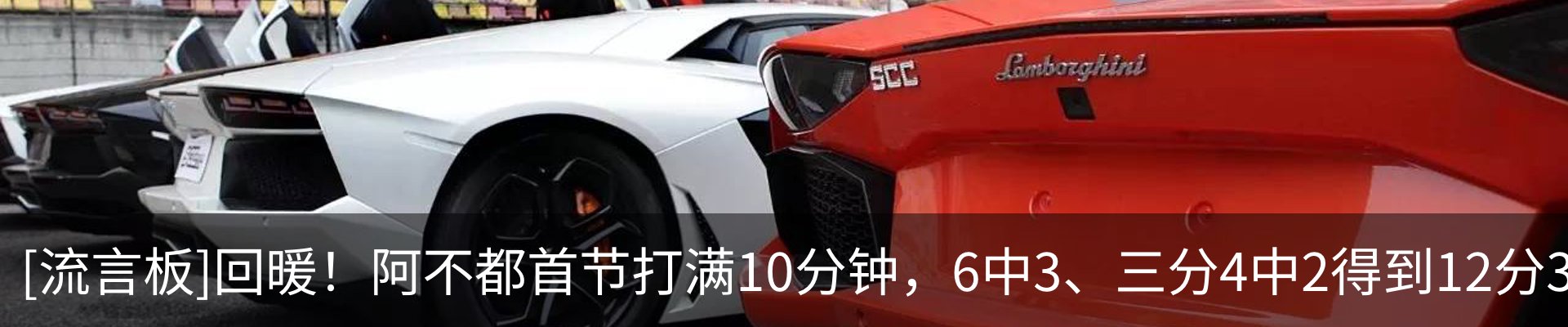 最新动态
